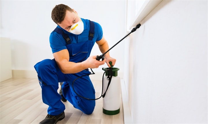 Total Pest Control Solutions